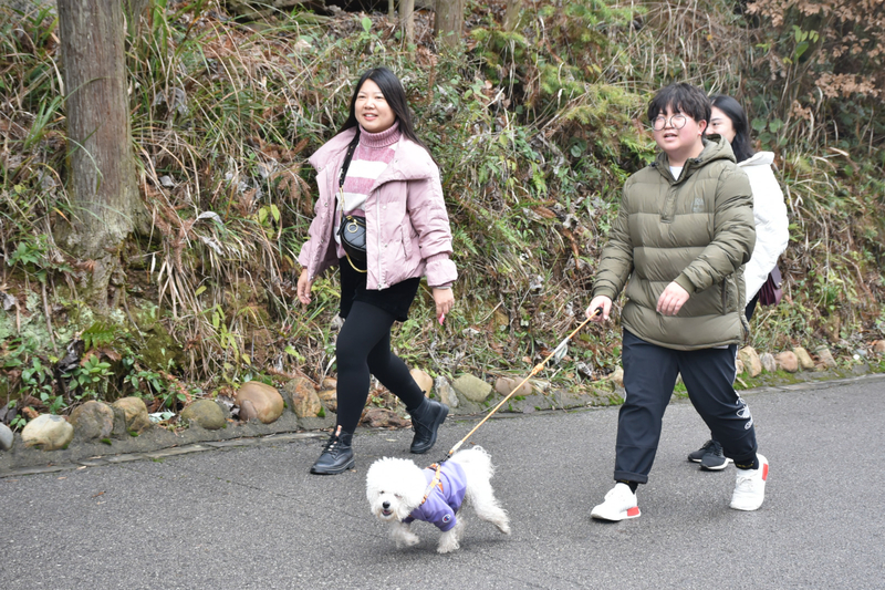 1577698479578050020.jpg 狗狗.jpg