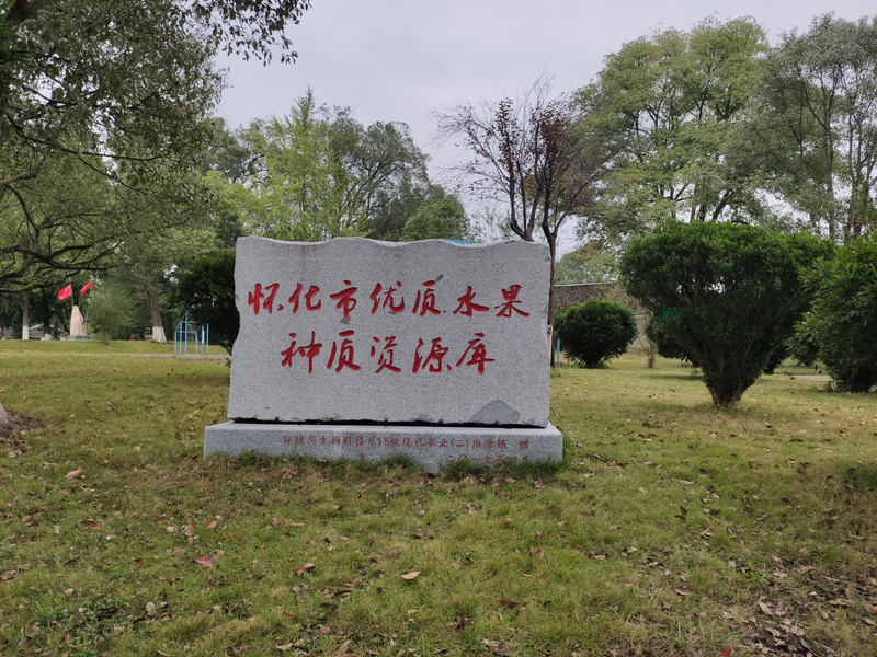 1605968189785056169.jpeg WechatIMG807.jpeg