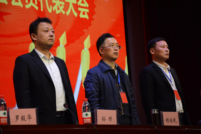 1616942716125056223.jpg DSC_2748.jpg