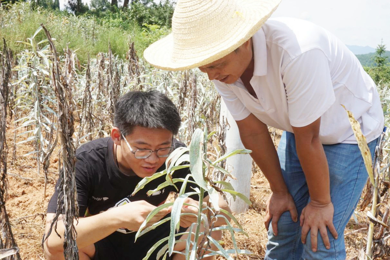 1626745813008057509.jpg 图片1.jpg