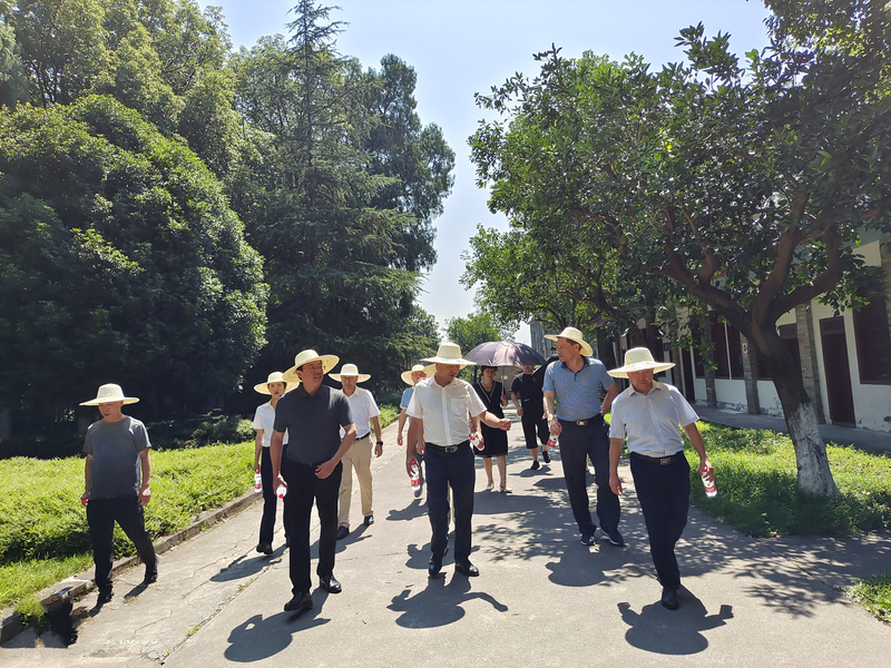 1627824659040010766.png 图片1.png