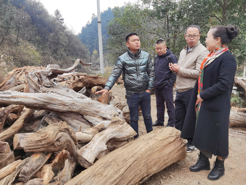 1640247824654036332.jpg 9a1fc31829027fab5d93e41d176ae7d.jpg