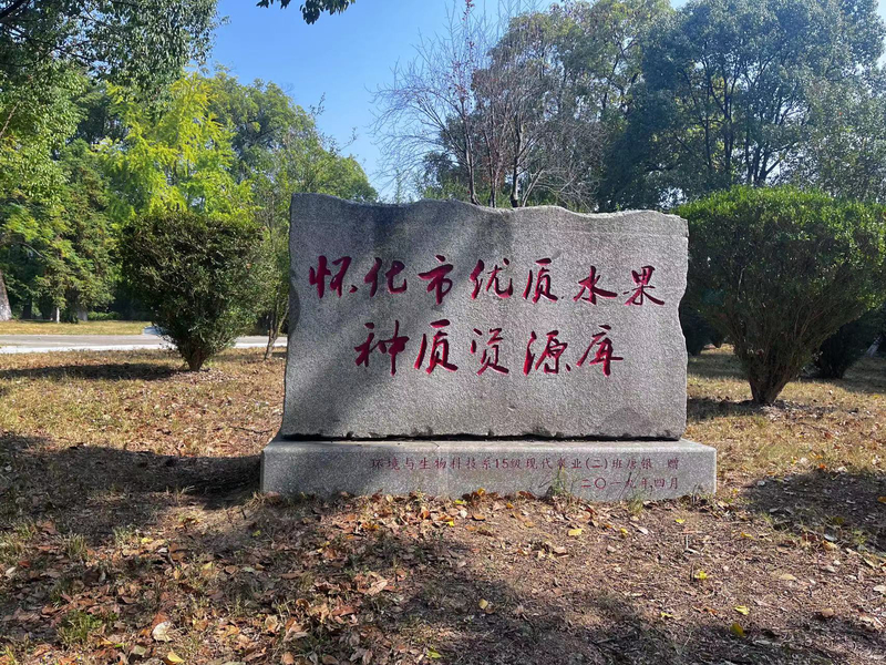 1673177068579068146.jpg 12.jpg