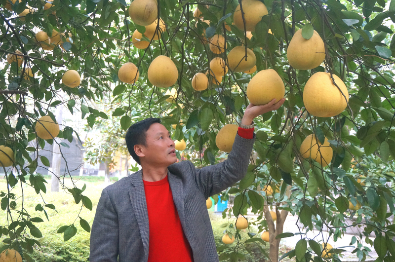 1511947906878006788.jpg DSC06721.jpg